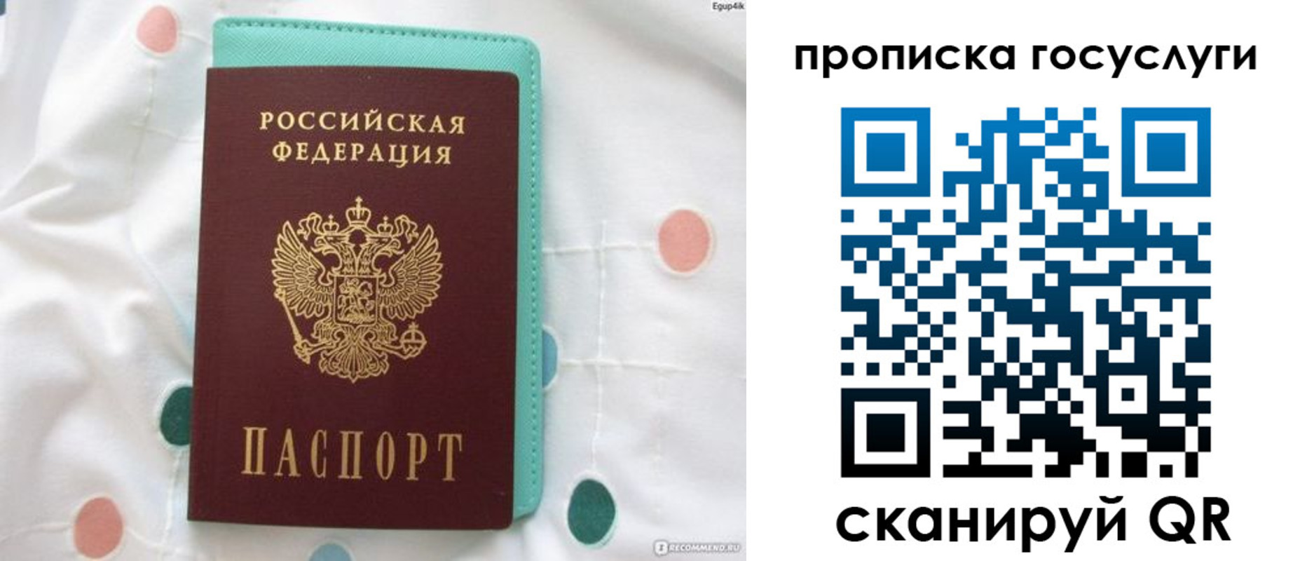 прописка поиск в Братске